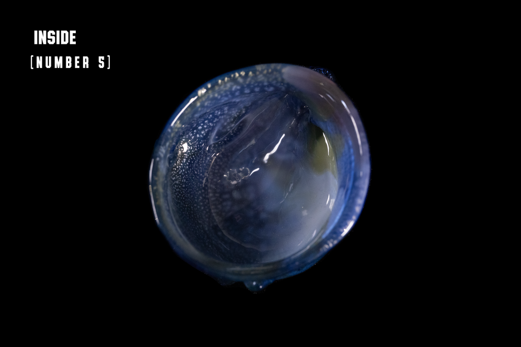 Silver Flake Guinomi (Wadatsumi)